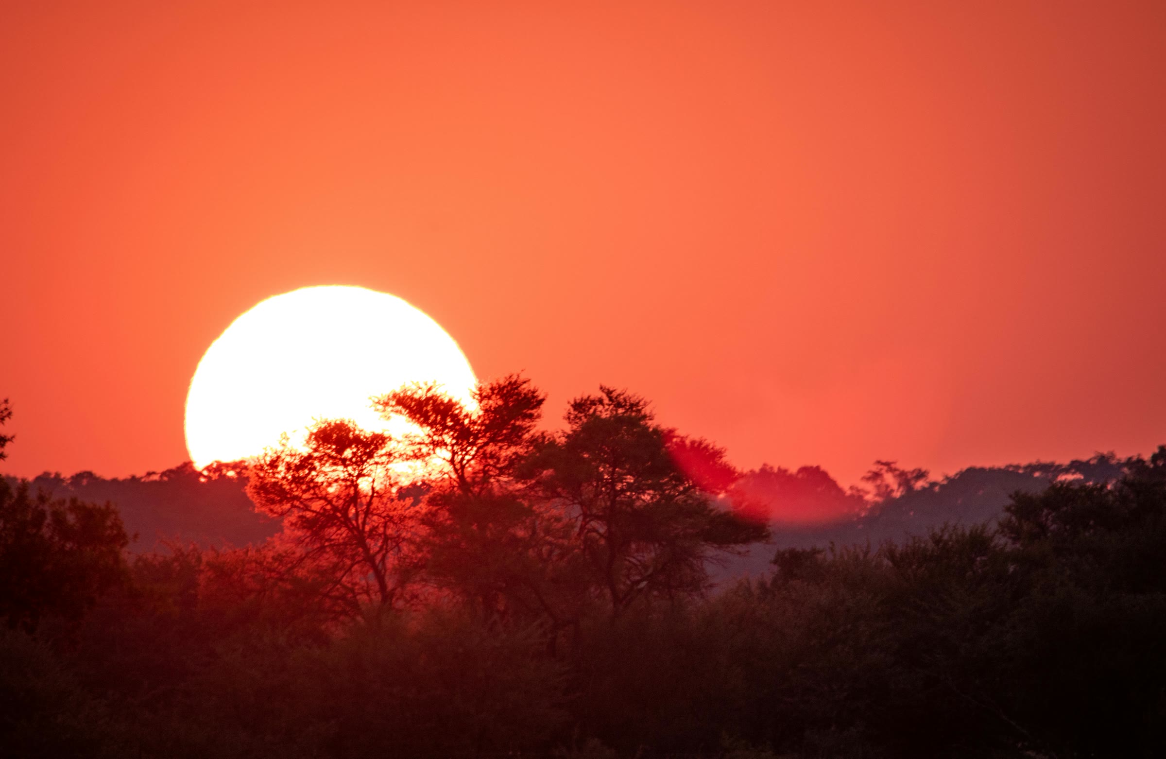 Sonnenaufgang über der tansanischen Savanne