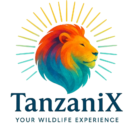 TanzaniX Safari
